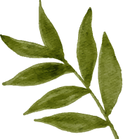 Tiệm cơm nhà vũ