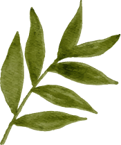 Tiệm cơm nhà vũ